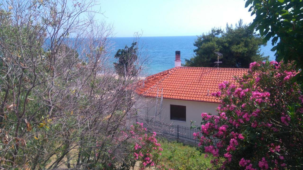 Maisonette Close To The Beach Nikiti  Esterno foto